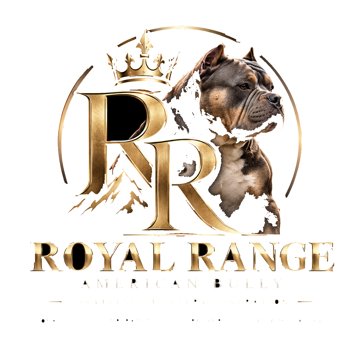 Royal Range American Bully